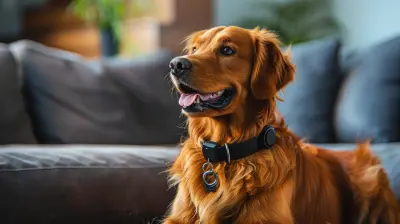 The Best Bluetooth Gadgets for Pet Owners