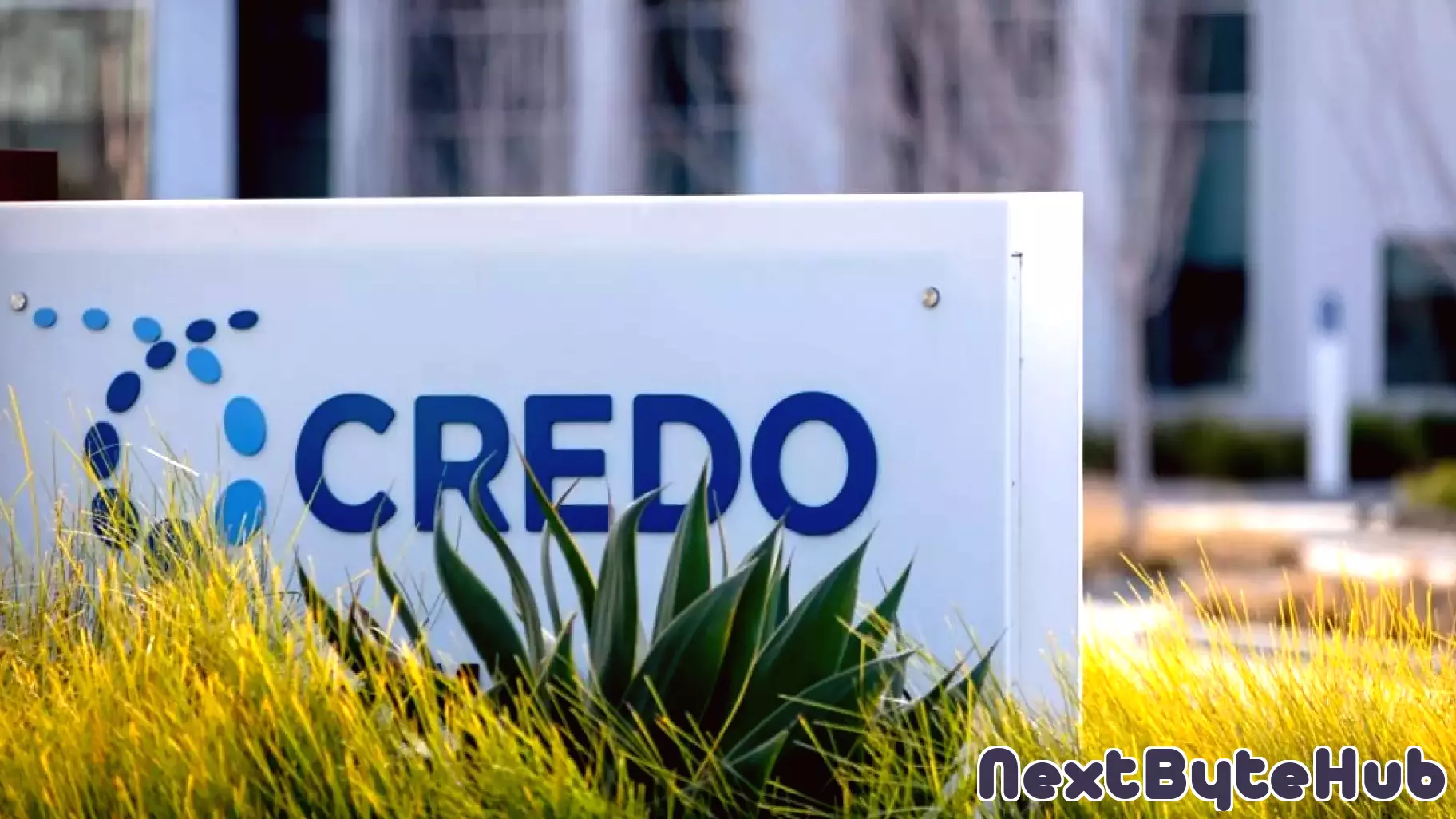 Credo Technology Group Stock Dives Despite Q4 Earnings Beat - Credo Technology Group (NASDAQ:CRDO)
