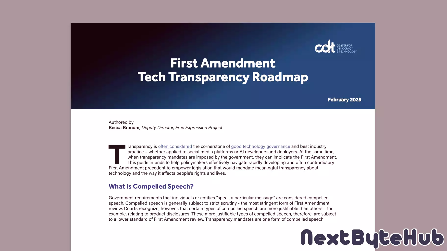 Navigating Transparency in Technology Governance