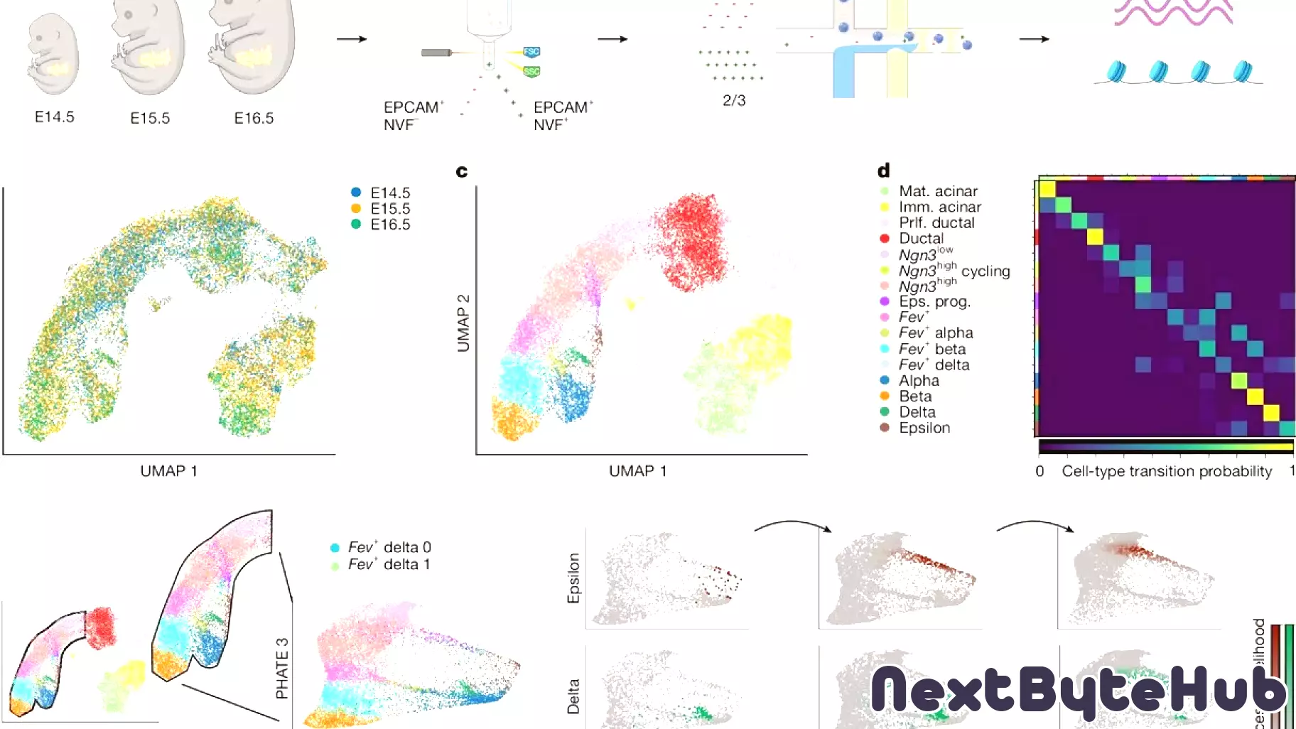 Revolutionary Technology Enhances Cell Research