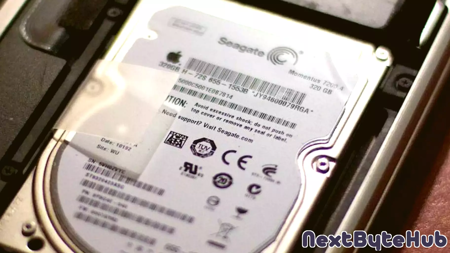 Seagate Technology's Q1 Performance Signals Positive Shift in Investment Outlook