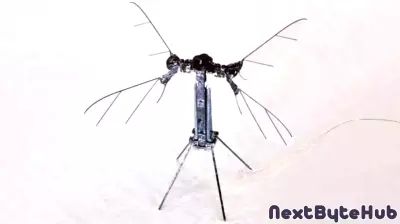 China’s Military Unveils Revolutionary Mosquito-Sized Drones for Covert Surveillance