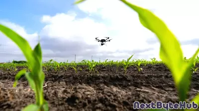 Collaboration to Create Satellite-Based Monitoring Tools for Smarter Decision Making and Resource Efficiency