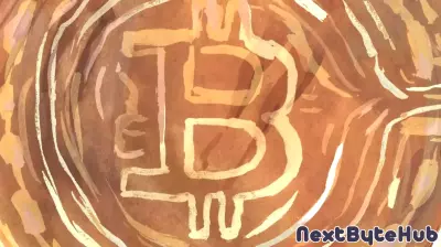 Harnessing Bitcoin Mining to Heat Spas and More