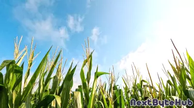 Revolutionary Sensing Technology Set to Transform Agricultural Robotics