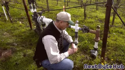 The Impact of AI on the Wine Industry: Enhancing Production Without Displacement